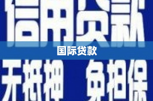 南化国际贷款