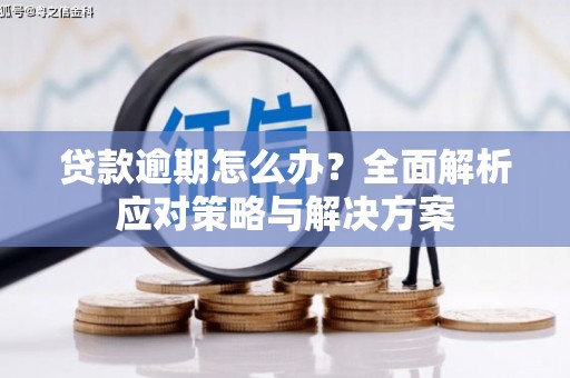 南靖贷款逾期怎么办？全面解析应对策略与解决方案