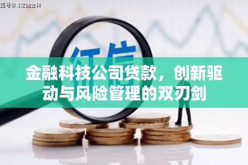 秦淮金融科技公司贷款，创新驱动与风险管理的双刃剑